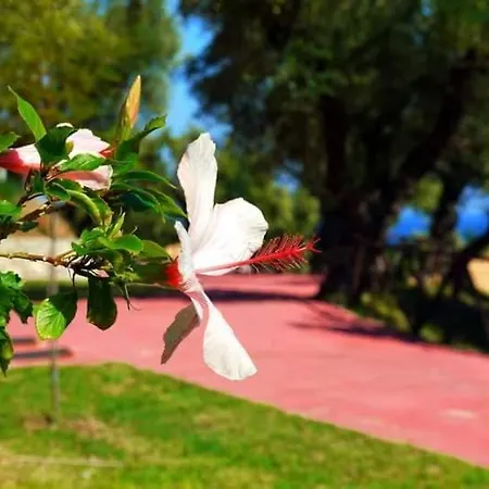 αρχοντικό βίλλα *